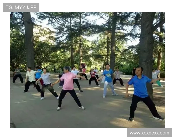 对话王伟：回顾排球生涯中的挑战与成就分享